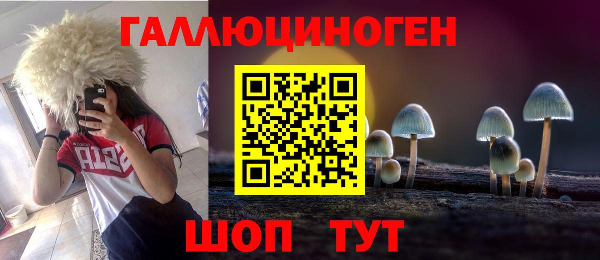 Кудрово  Галлюциногенные грибы прущие грибы  Вход с VPN  Галлюциногенные грибы прущие грибы 